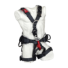 SAR Chest Plus